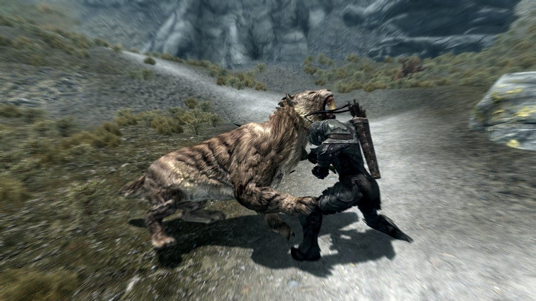 the-elder-scrolls-v-skyrim-skyrim-20111126-190939