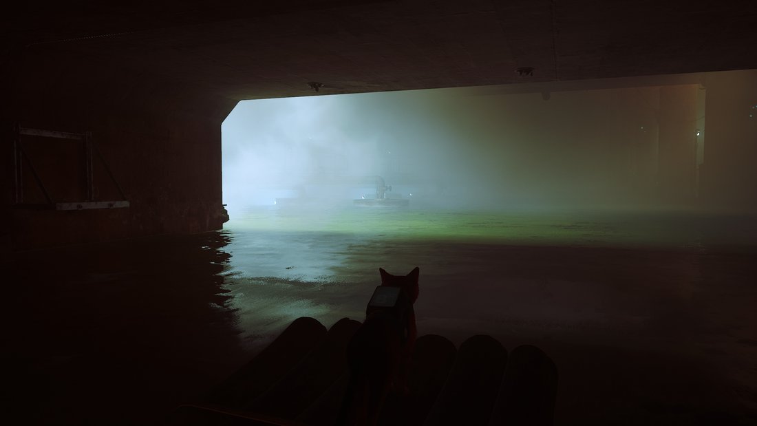 stray-stray-16062023-21_40_12