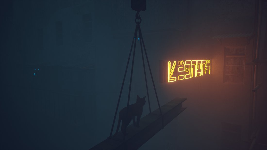 stray-stray-16062023-07_41_38