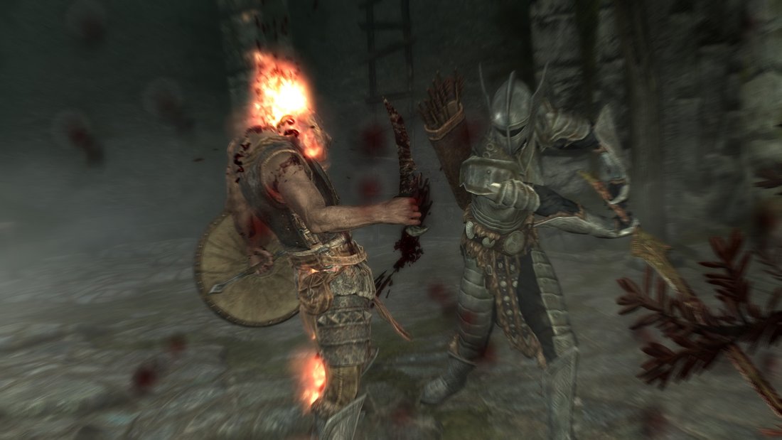 the-elder-scrolls-v-skyrim-skyrim-20111125-183650