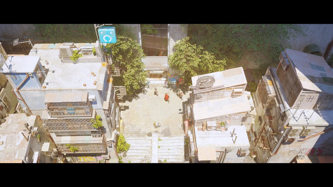 stray-stray-17062023-19_51_40
