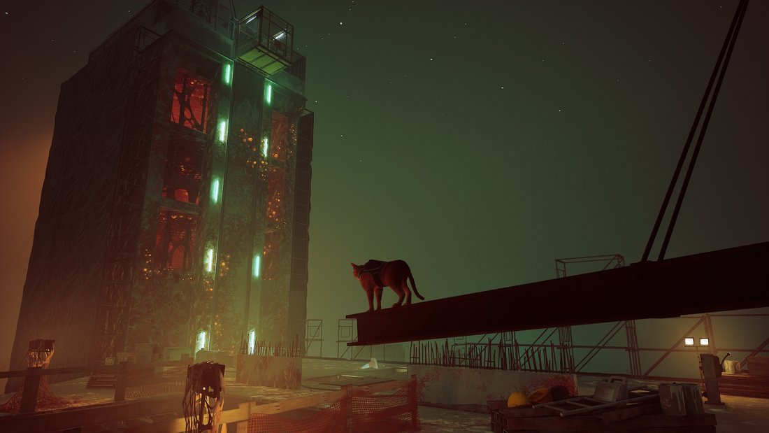 stray-stray-16062023-14_37_14