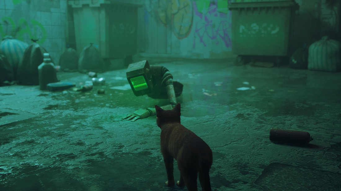 stray-stray-15062023-21_36_40