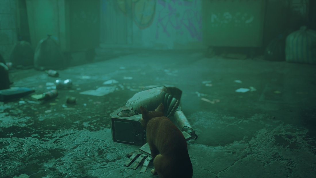 stray-stray-15062023-21_36_55