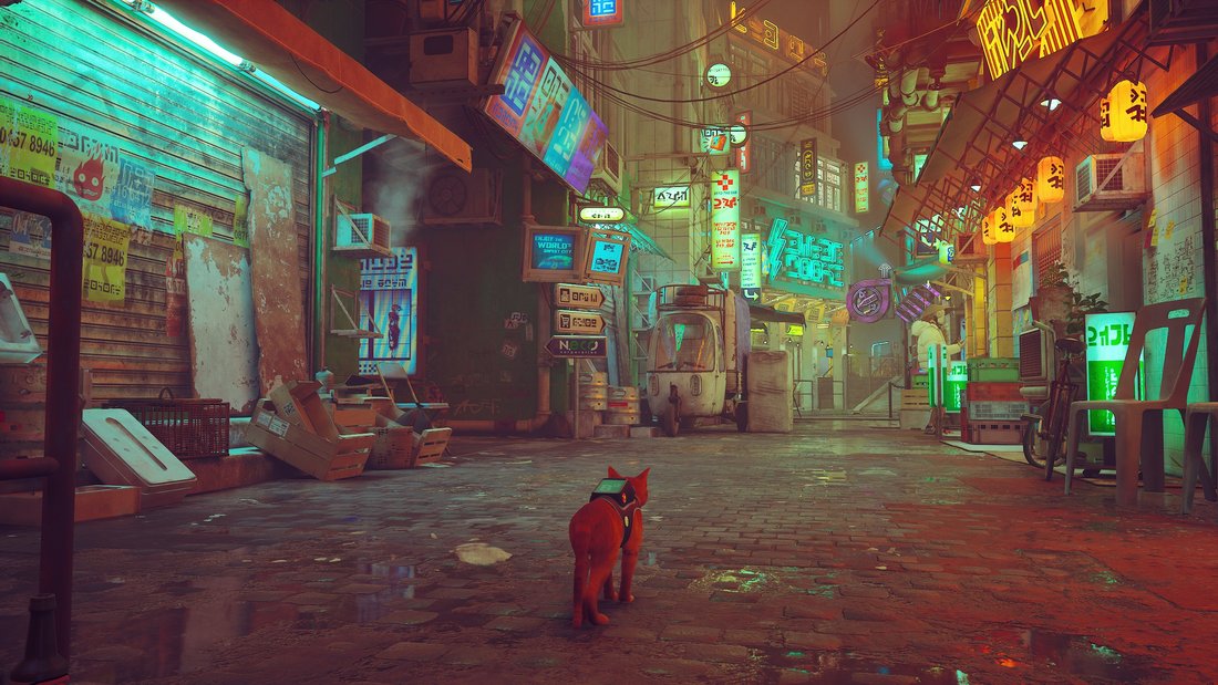 stray-stray-17062023-15_36_17