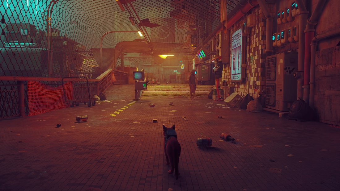 stray-stray-17062023-15_34_13