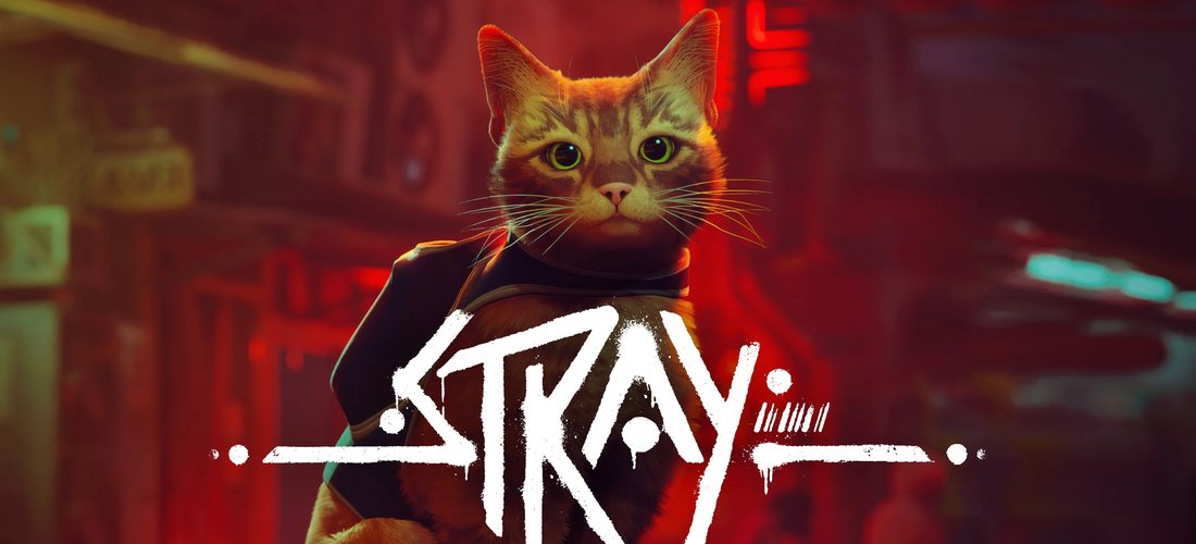 Stray