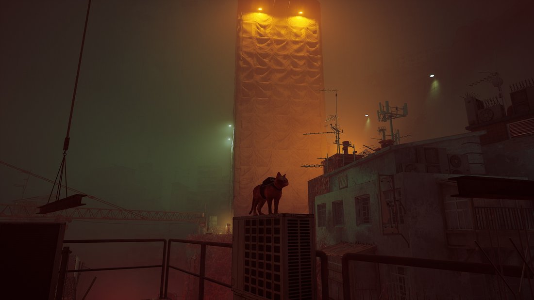 stray-stray-16062023-11_50_01