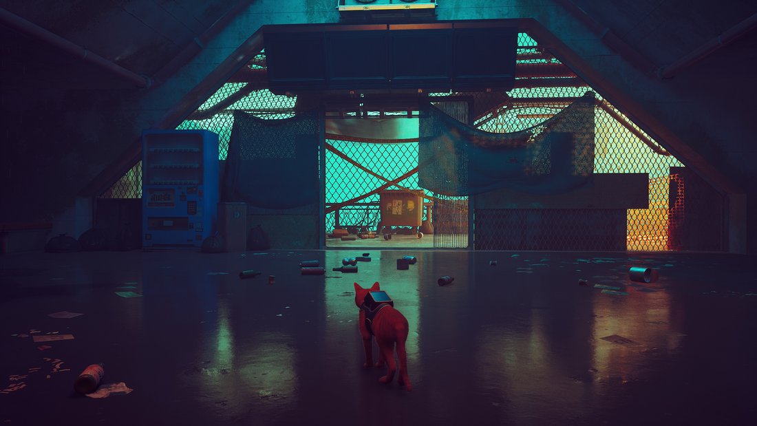 stray-stray-17062023-15_32_58