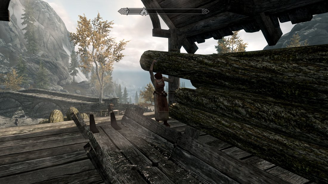 the-elder-scrolls-v-skyrim-skyrim-20111121-214636